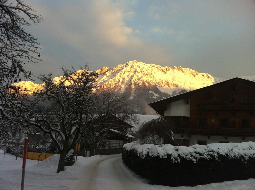 Appartementhaus Zum Schneider Scheffau am Wilden Kaiser Exterior foto